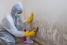 Best Attic Mold Removal  in Vernon, AL